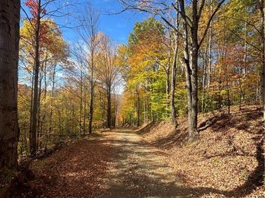 Paynesville Hill Road , Whitesville, NY 14897