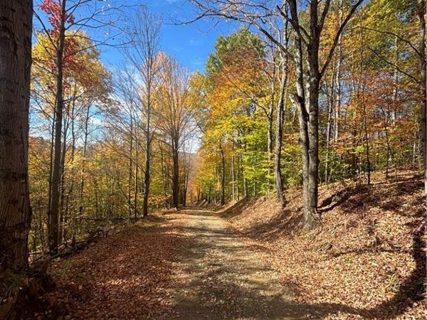 Paynesville Hill Road , Whitesville, NY 14897
