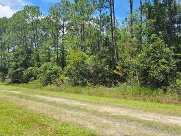 4220 ISAAC STREET , HASTINGS, FL 32145