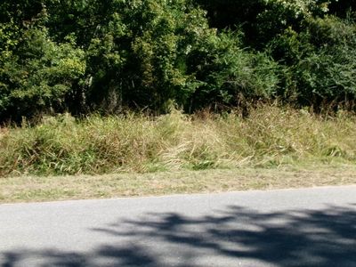 Lot 4 Manor Road, Hollywood, SC 29449