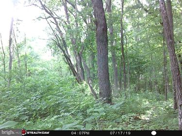 VALLEY VIEW ROAD , RILEYVILLE, VA 22650