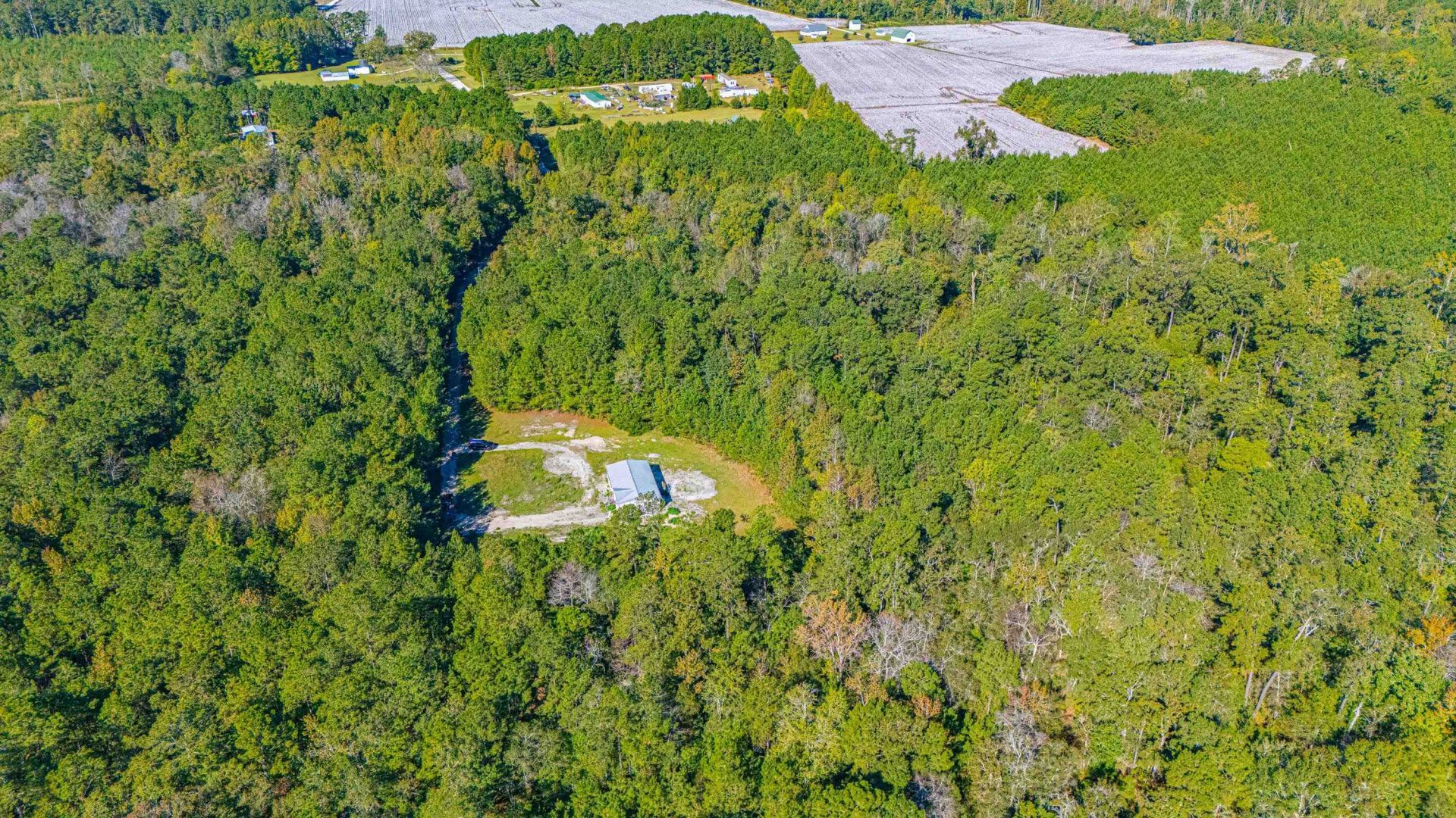 7035 Long Horne Ranch Dr.  Photo 12
