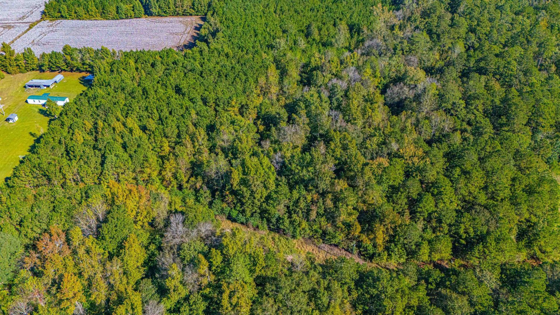 7035 Long Horne Ranch Dr.  Photo 9