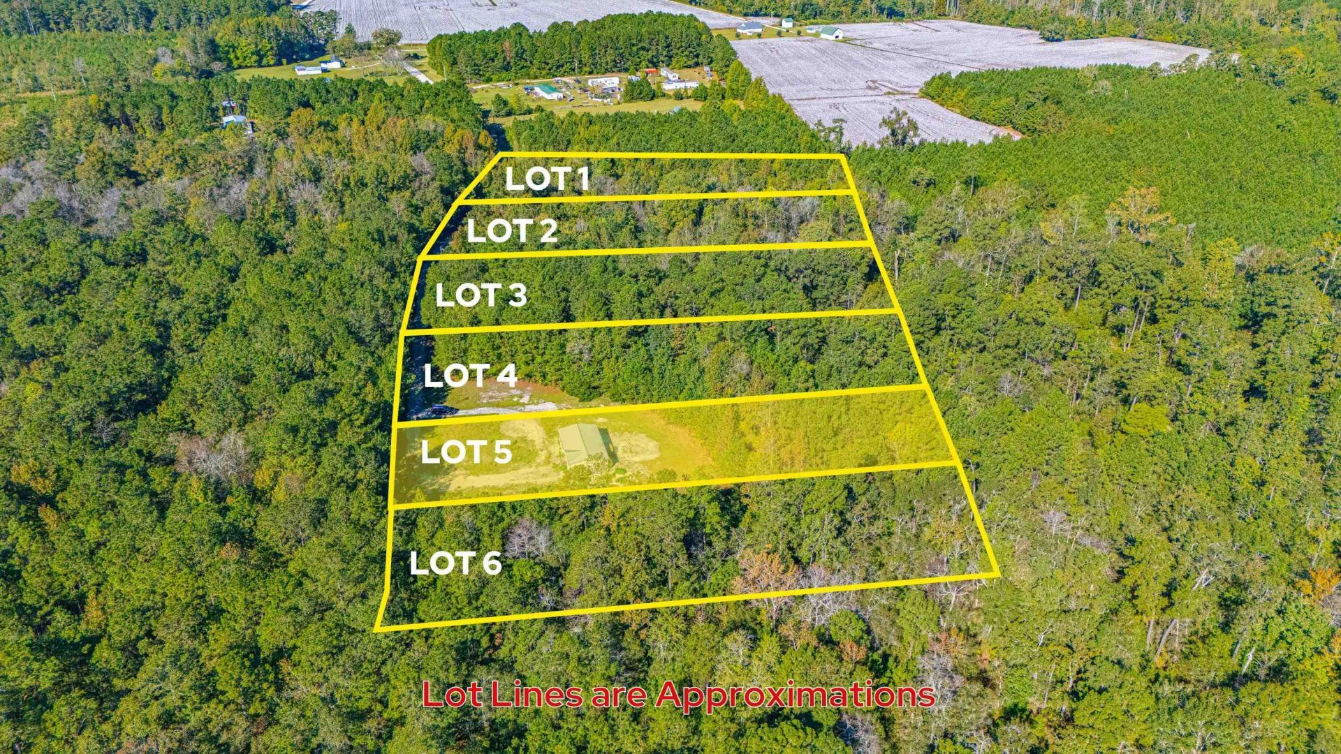 7035 Long Horne Ranch Dr.  Photo 4