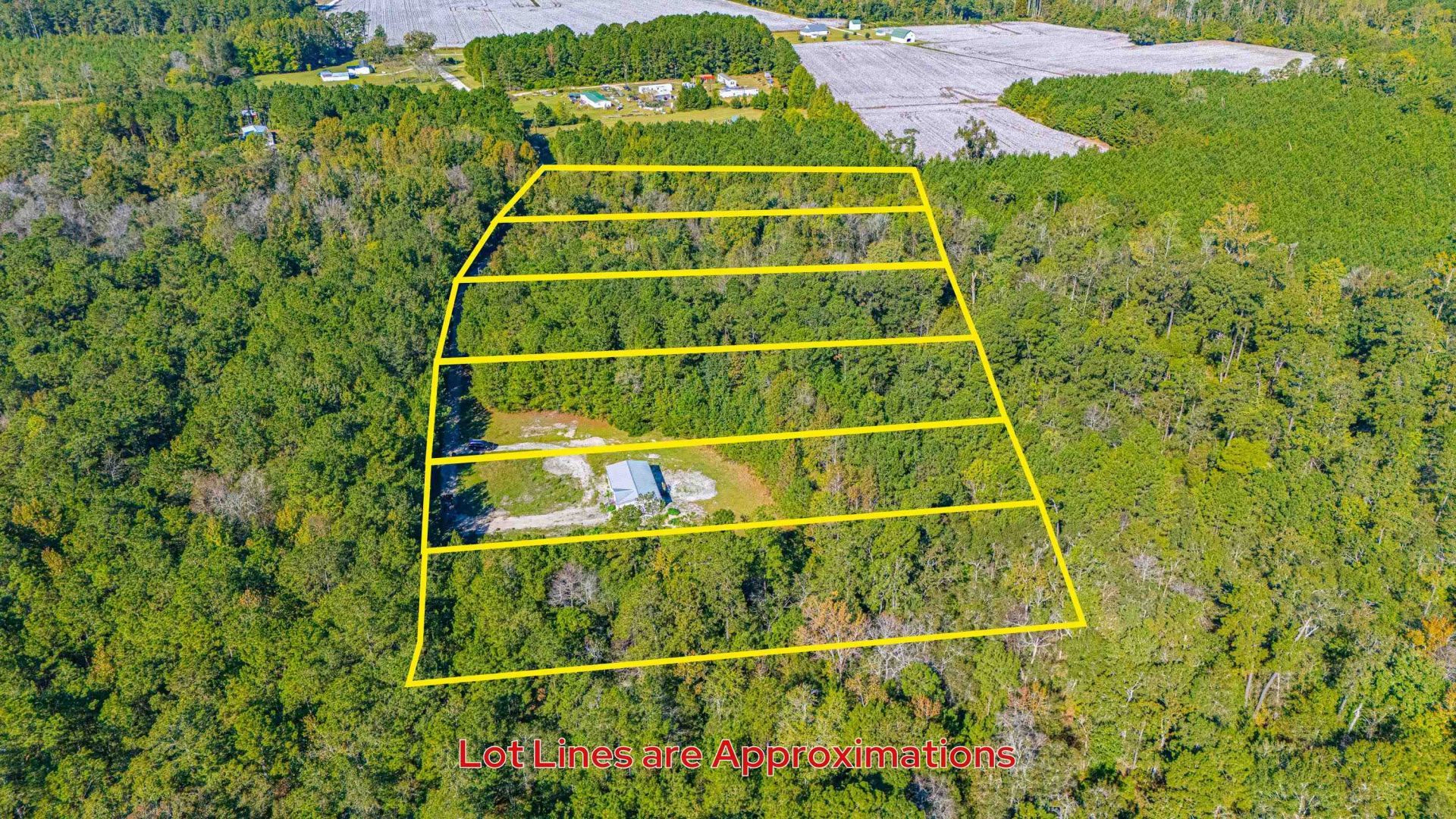7035 Long Horne Ranch Dr.  Photo 8