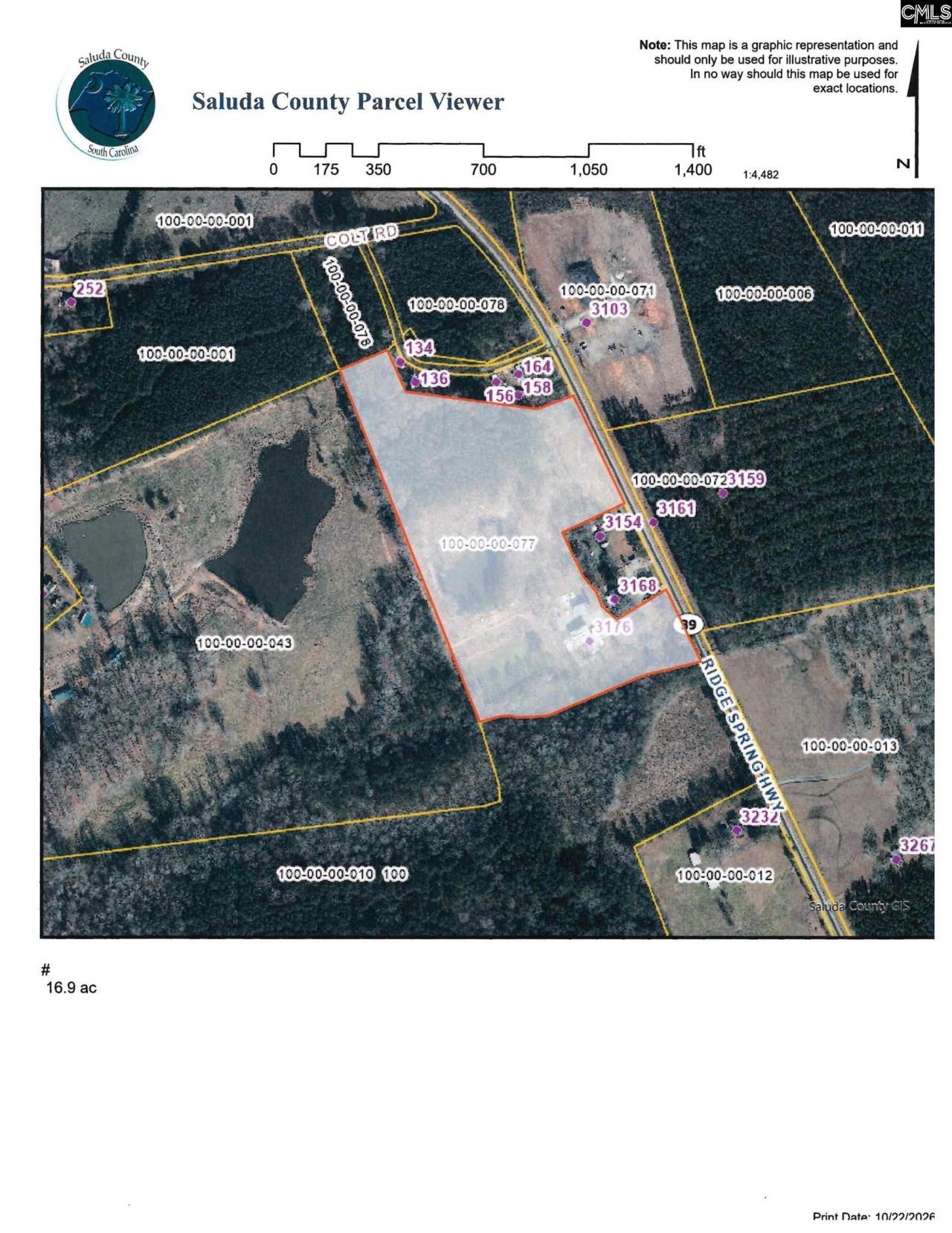 3176 Ridge Spring Highway  Photo 51