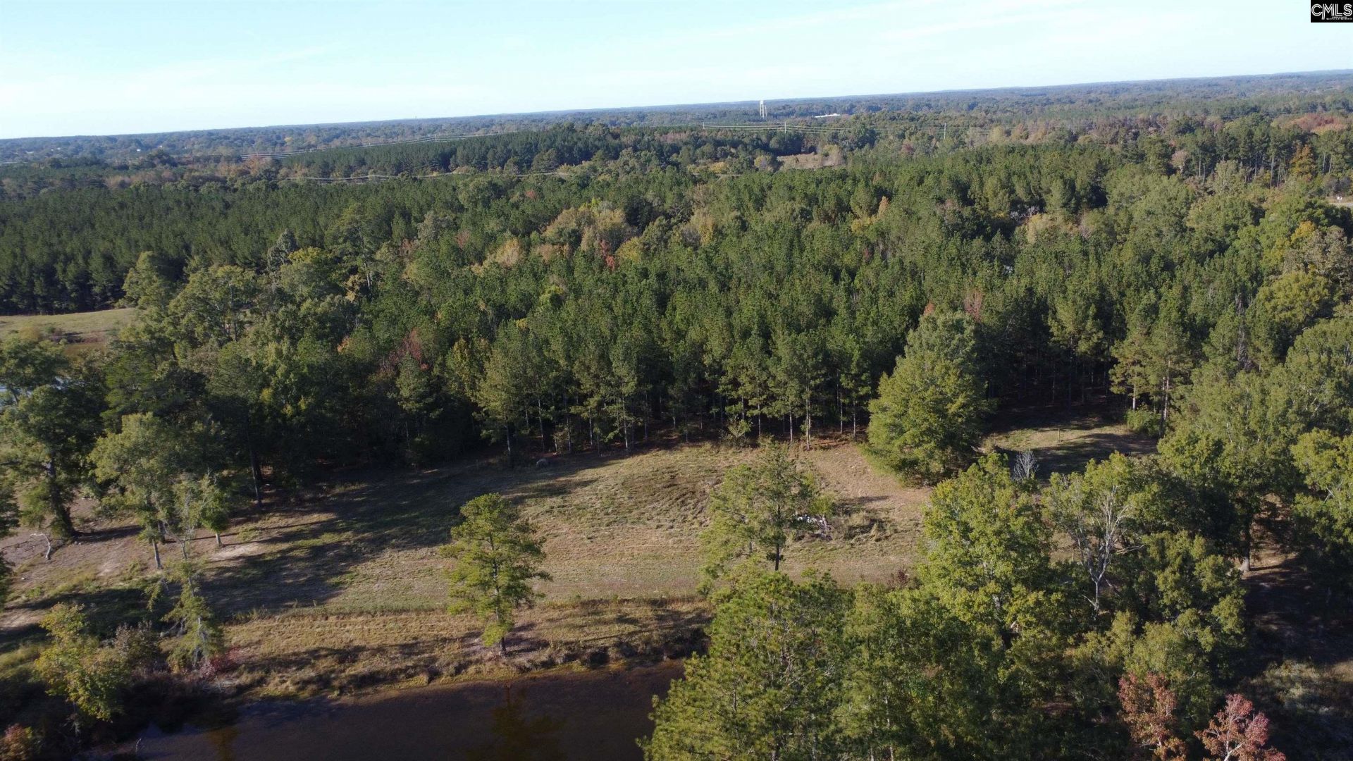 3176 Ridge Spring Highway  Photo 53