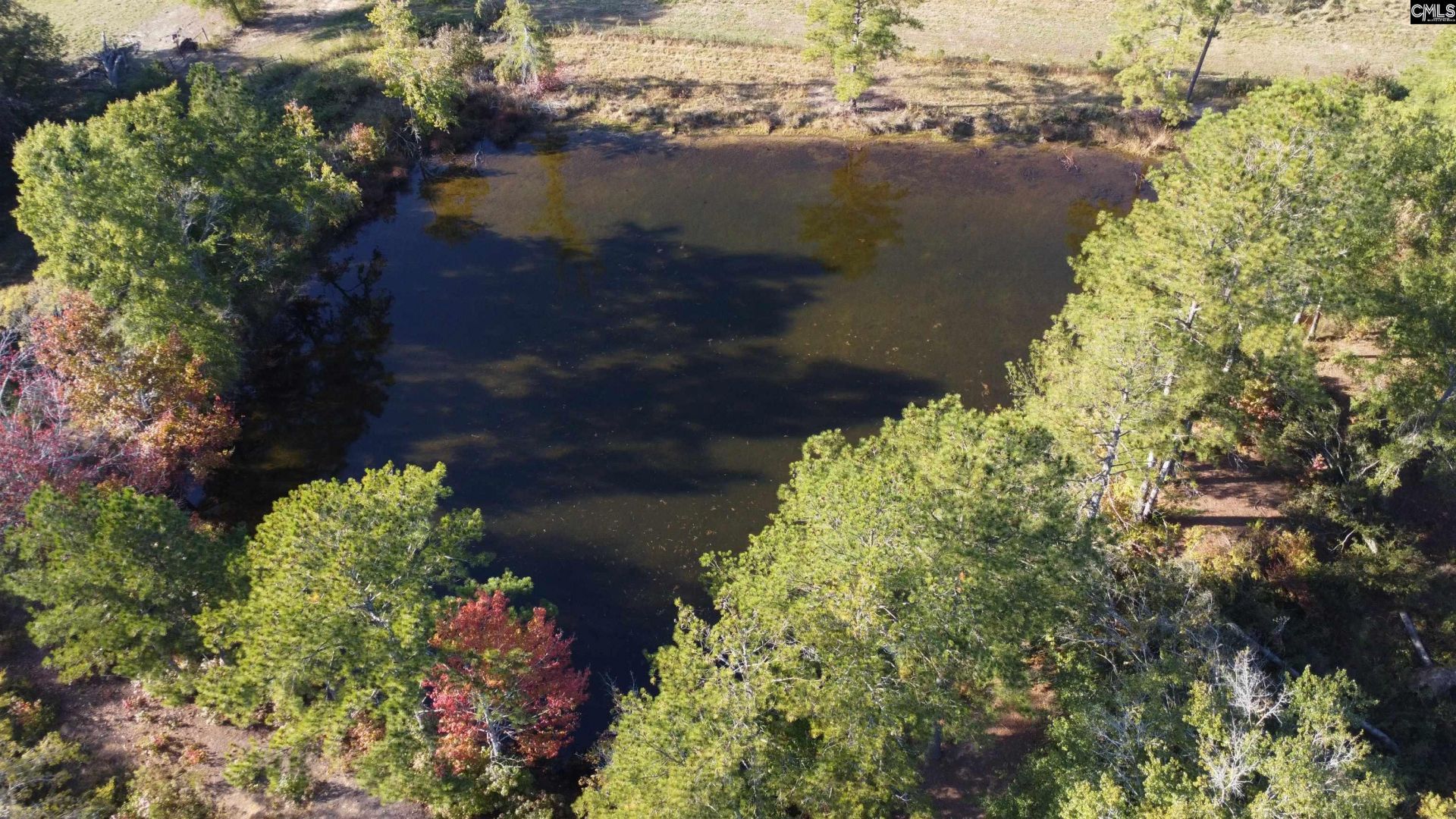 3176 Ridge Spring Highway  Photo 54