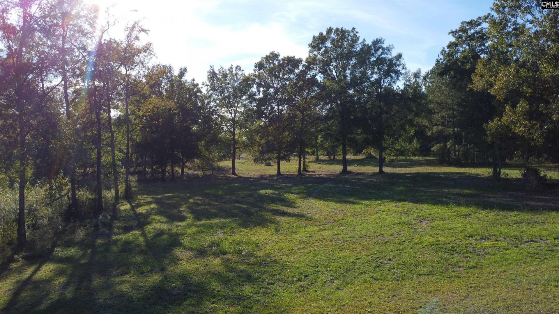 3176 Ridge Spring Highway  Photo 57
