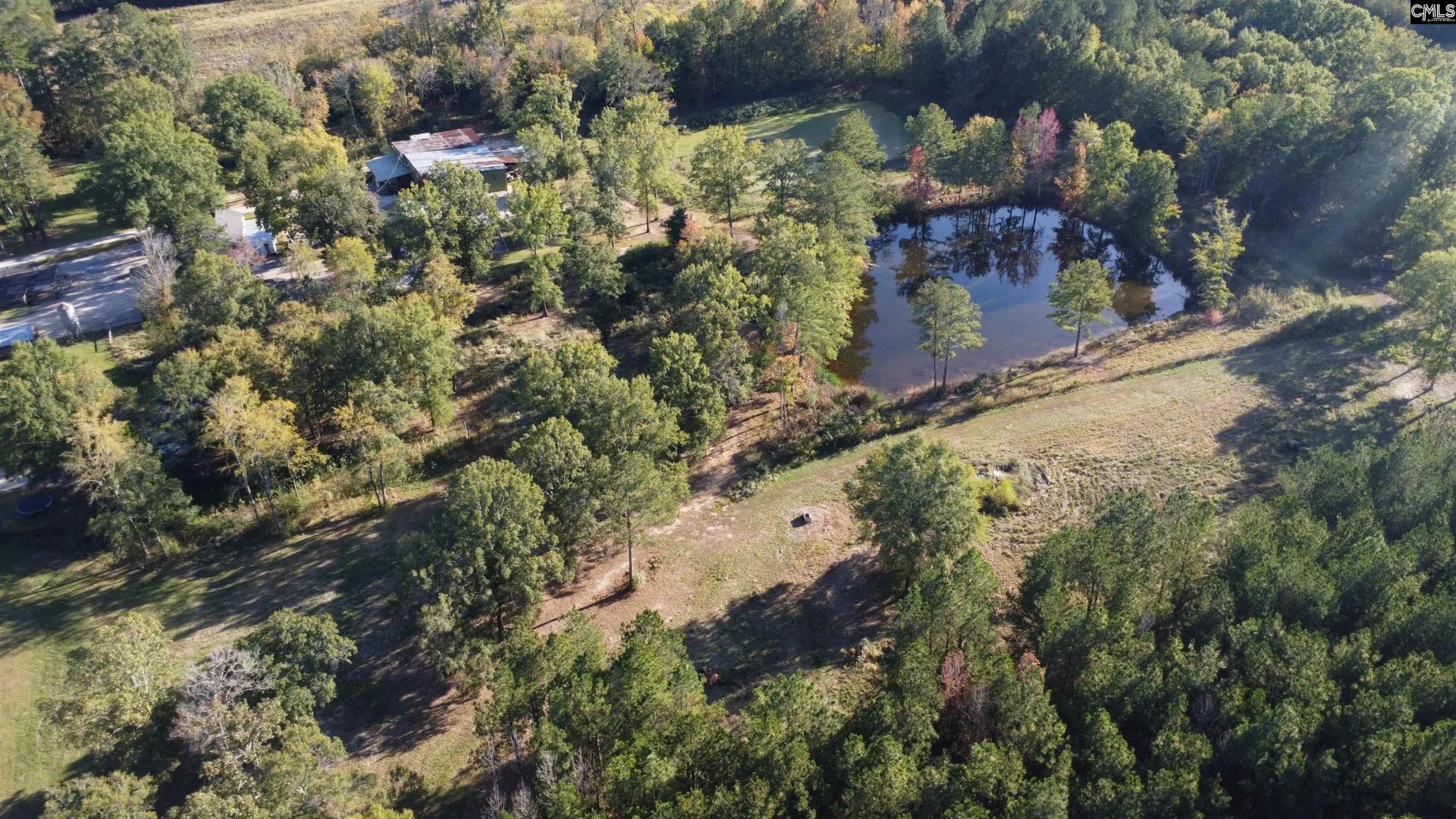3176 Ridge Spring Highway  Photo 58
