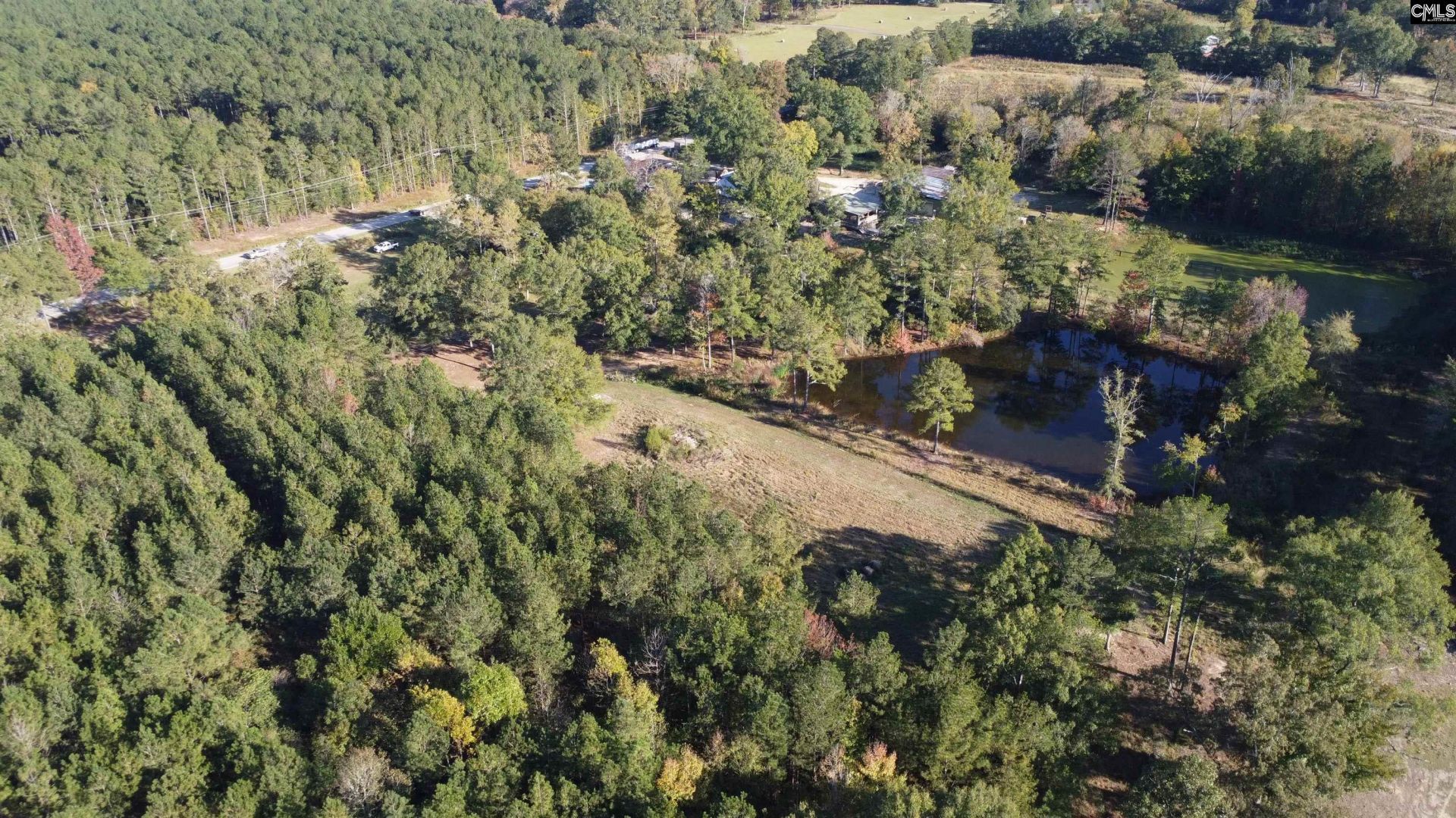 3176 Ridge Spring Highway  Photo 60