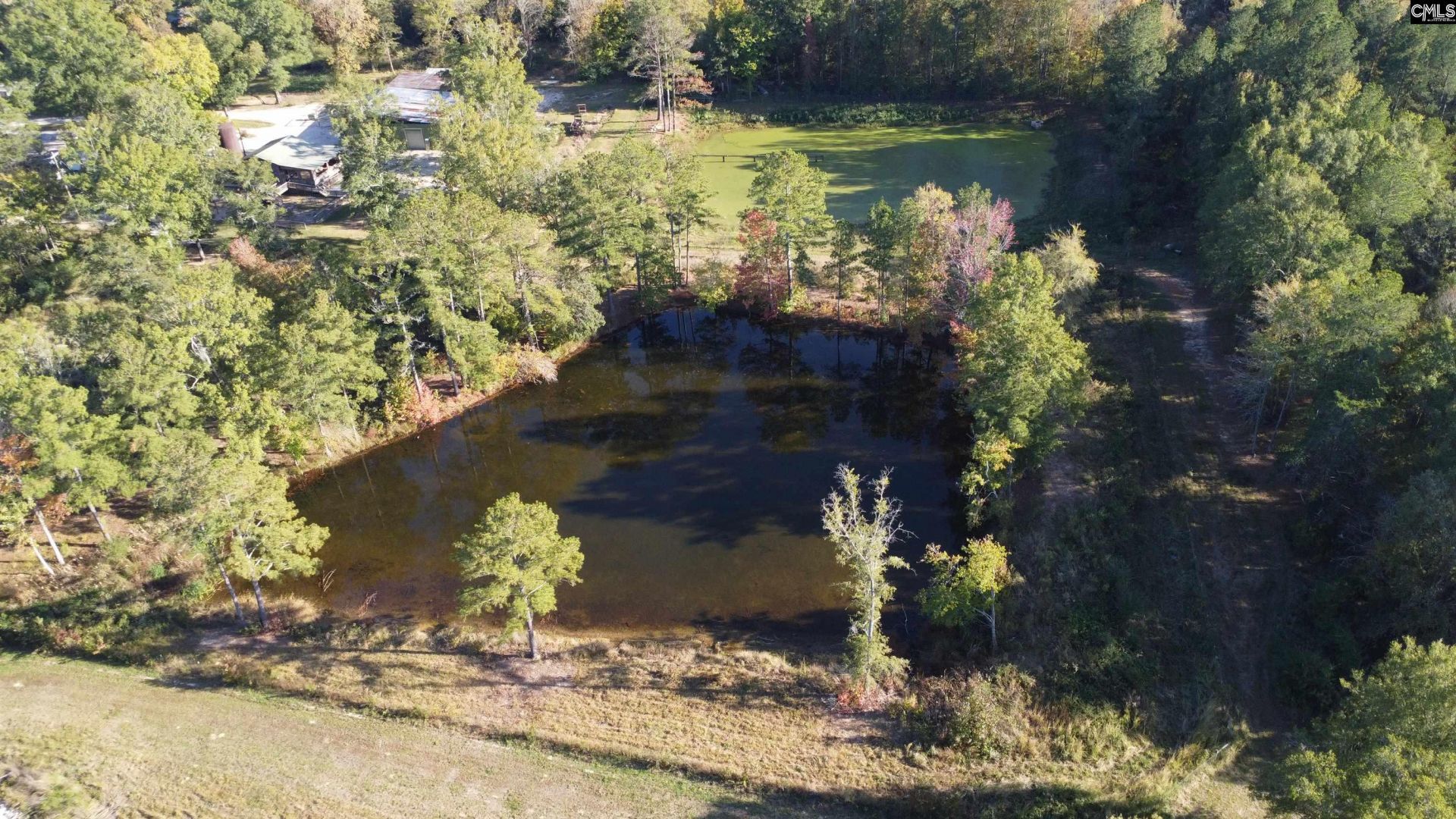 3176 Ridge Spring Highway  Photo 61