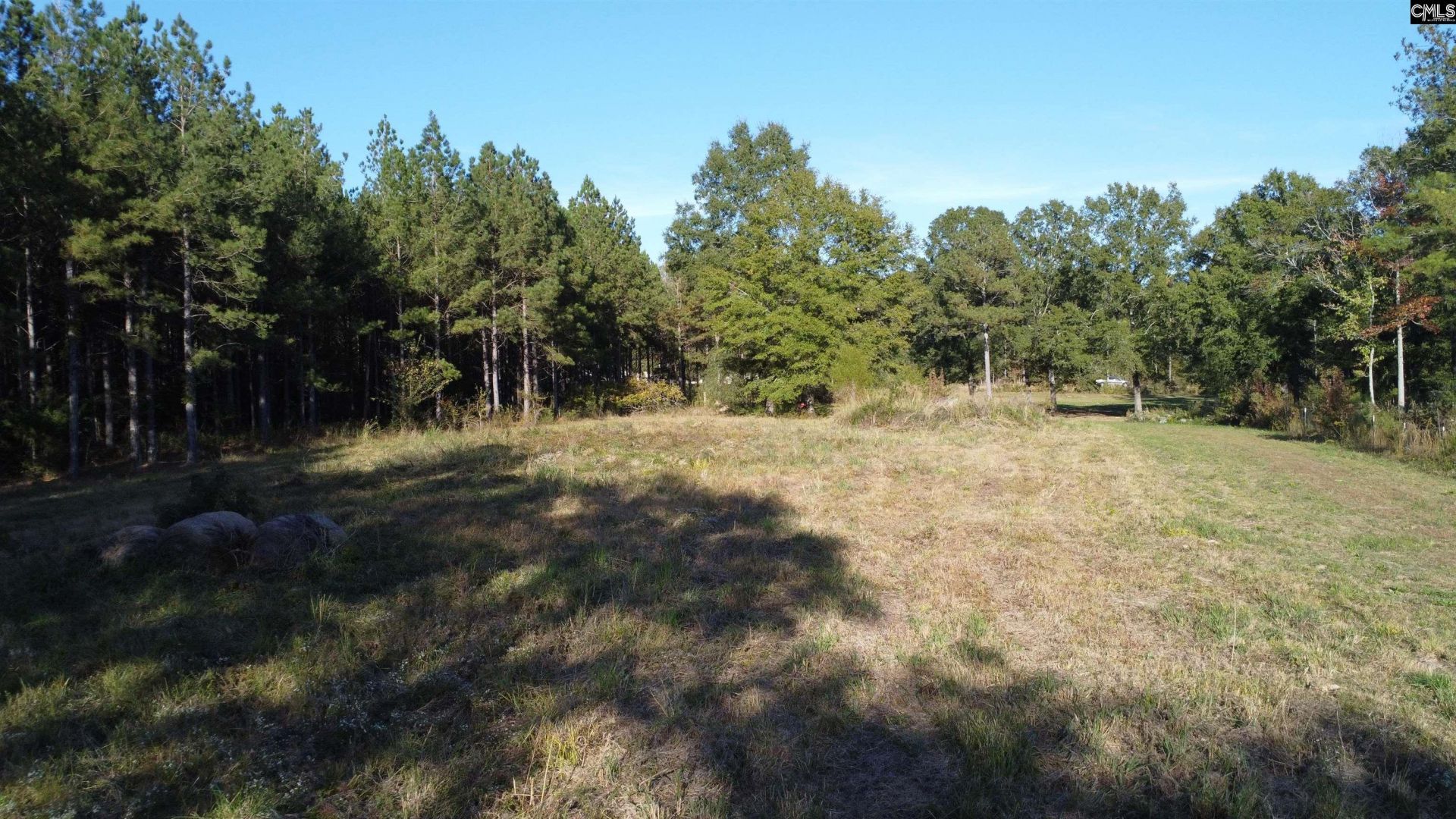 3176 Ridge Spring Highway  Photo 63