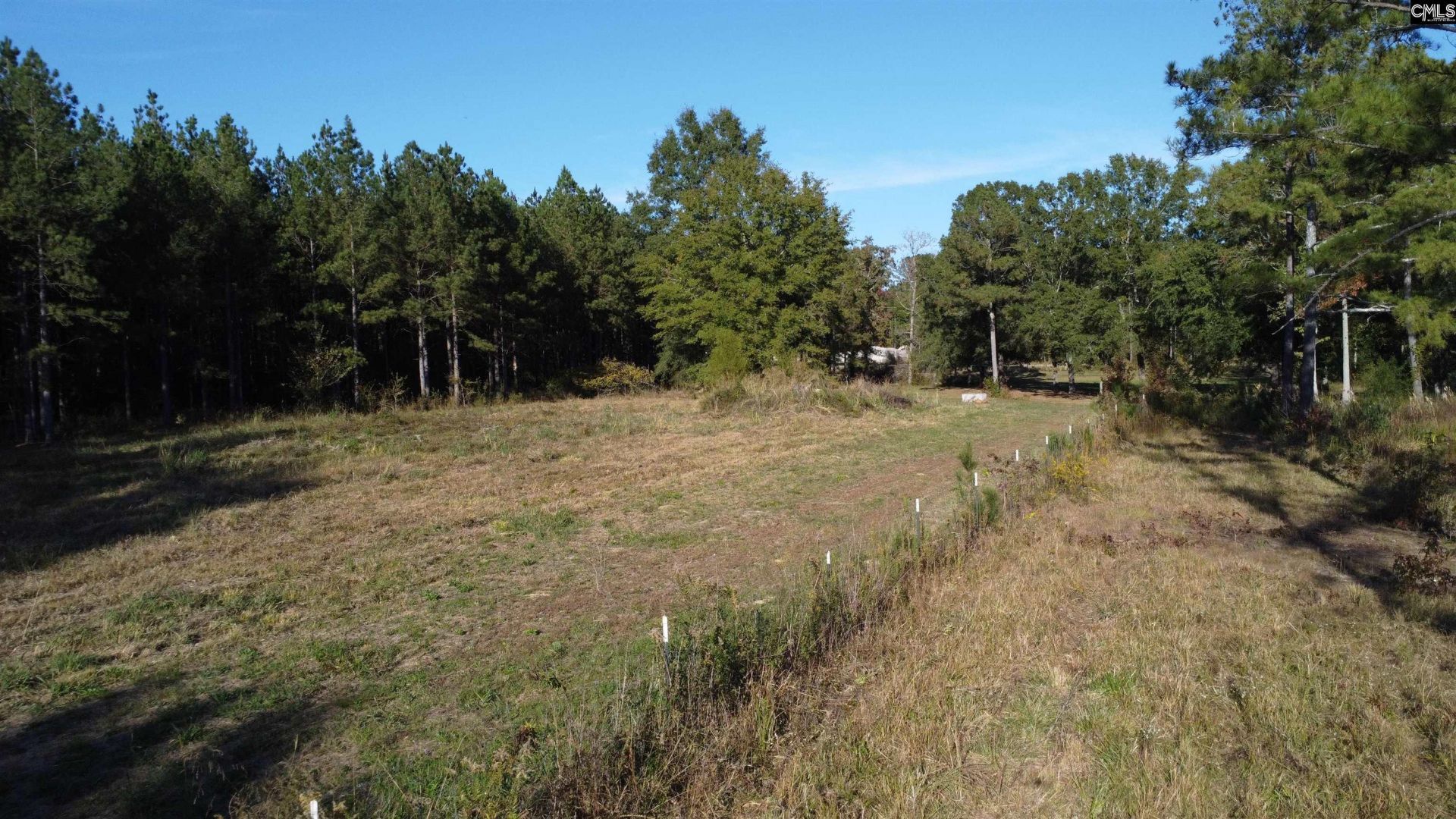 3176 Ridge Spring Highway  Photo 64