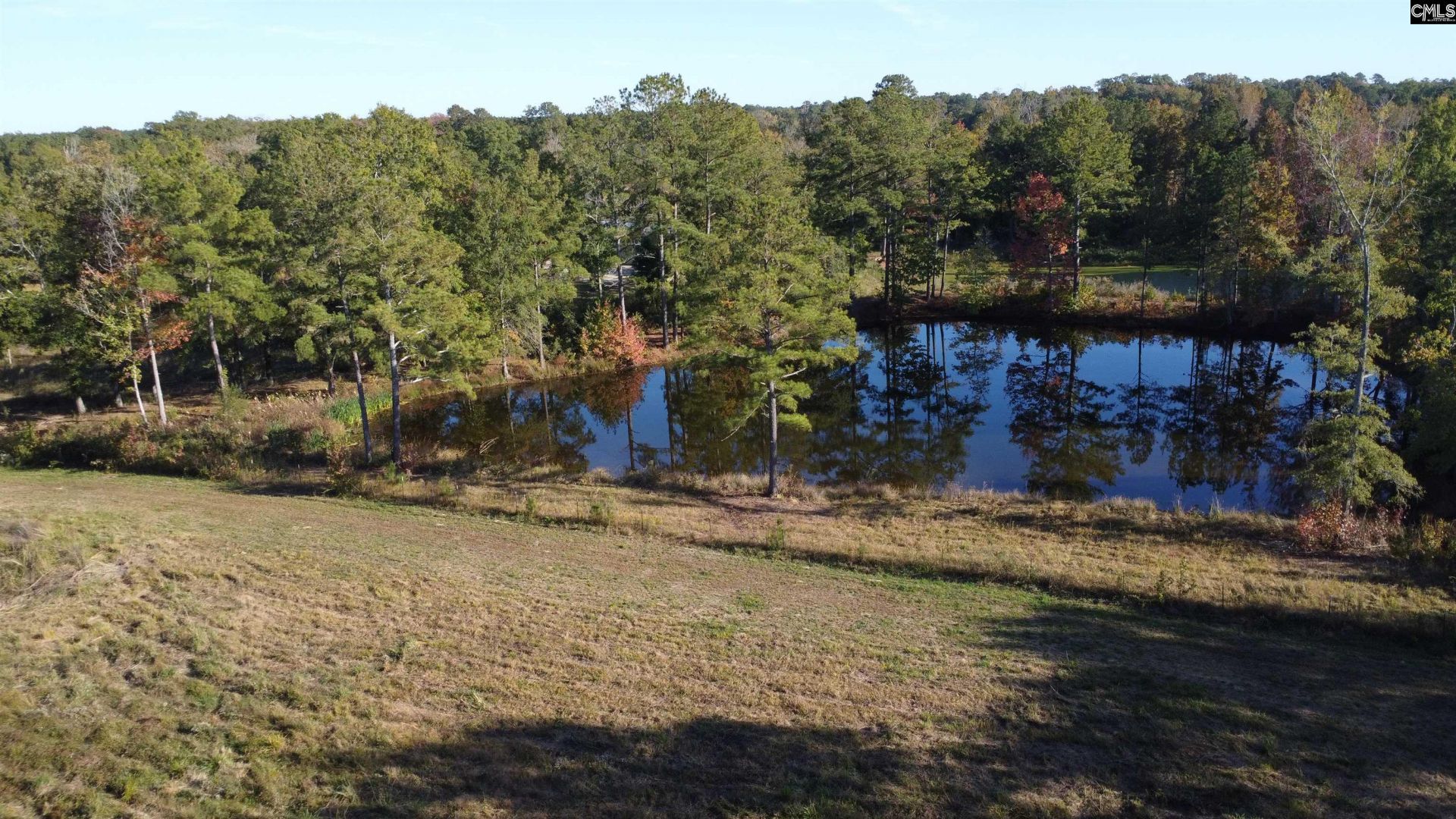 3176 Ridge Spring Highway  Photo 66