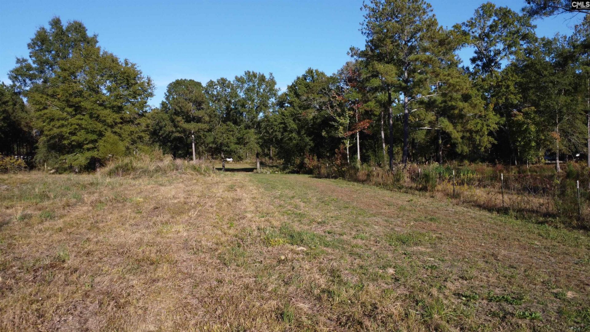 3176 Ridge Spring Highway  Photo 68