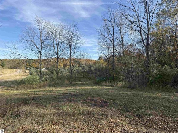 2 Tower Road S, Maple City, MI 49664