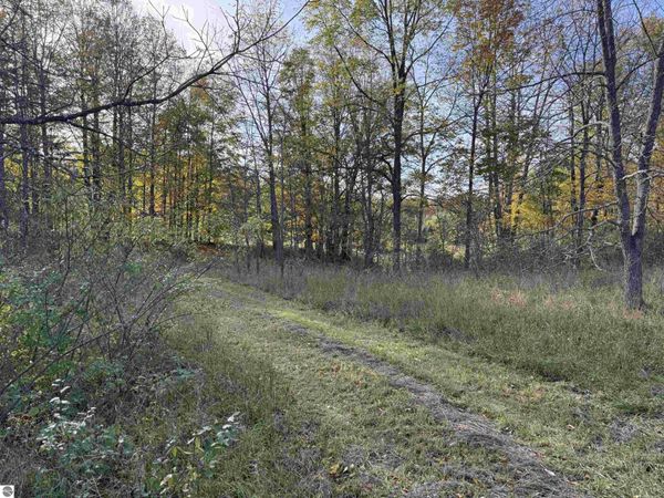 3 Tower Road S, Maple City, MI 49664