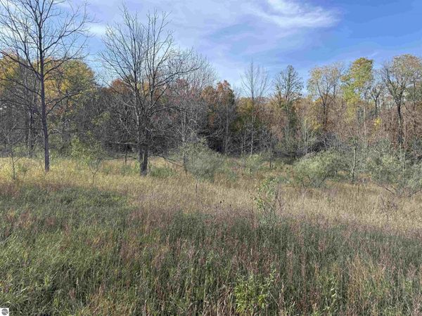 4 Tower Road S, Maple City, MI 49664