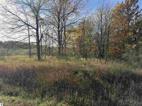 5 Tower Road S, Maple City, MI 49664