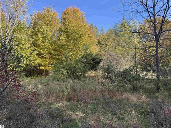6 Tower Road S, Maple City, MI 49664