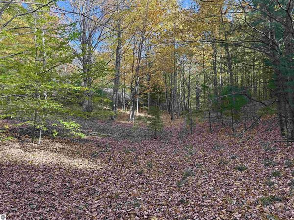 7 Tower Road S, Maple City, MI 49664