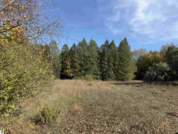 9 Tower Road S, Maple City, MI 49664