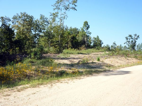 1716 RAY MILLER RD, Sugar Tree, TN 38380