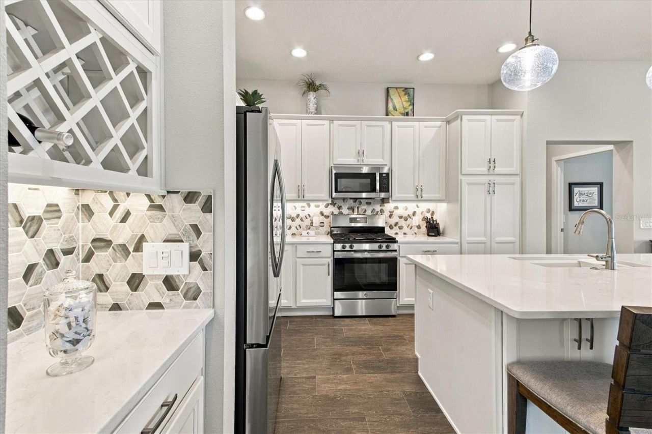521 Kaolin Path, The Villages, FL 32163 Photo