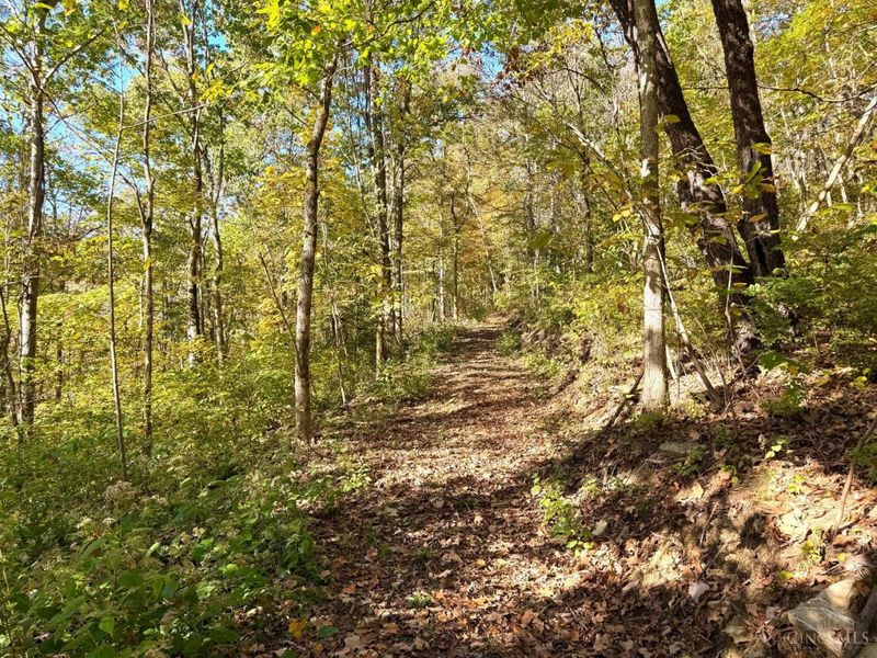 2910 Ginger Ridge Road, Sprigg Township, OH 45144 Photo 75
