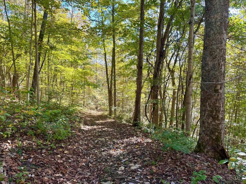 2910 Ginger Ridge Road, Sprigg Township, OH 45144 Photo 79