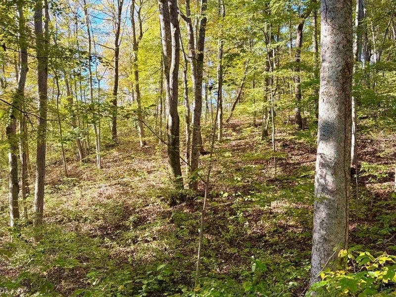 2910 Ginger Ridge Road, Sprigg Township, OH 45144 Photo 82