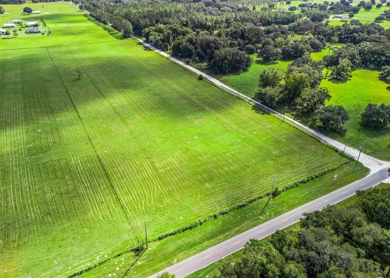 Cr 575, Bushnell, FL 33513 Photo