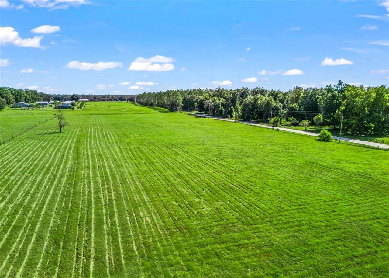 Cr 575, Bushnell, FL 33513 Photo