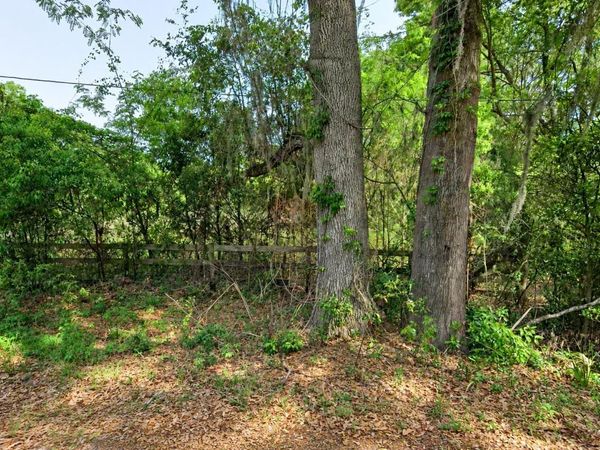 NE 175TH STREET , CITRA, FL 32113