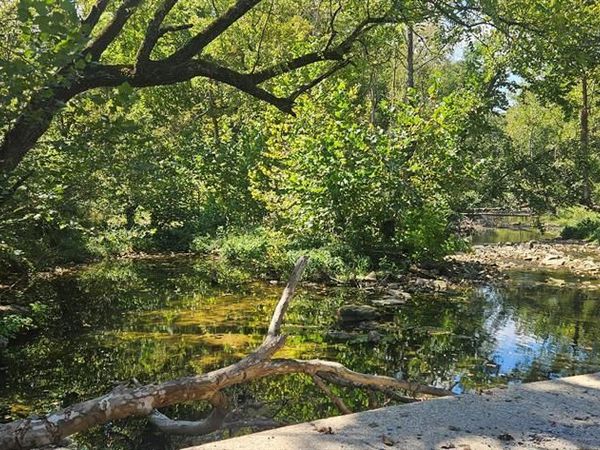 0 Brushy Creek Road , Houston, MO 65483