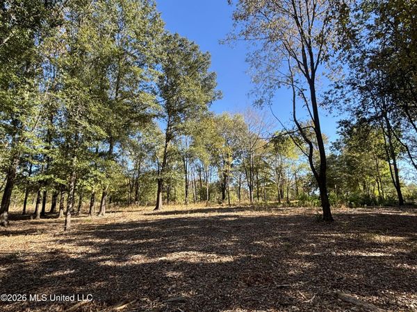 Rolling Meadows, Ridgeland, MS 39157