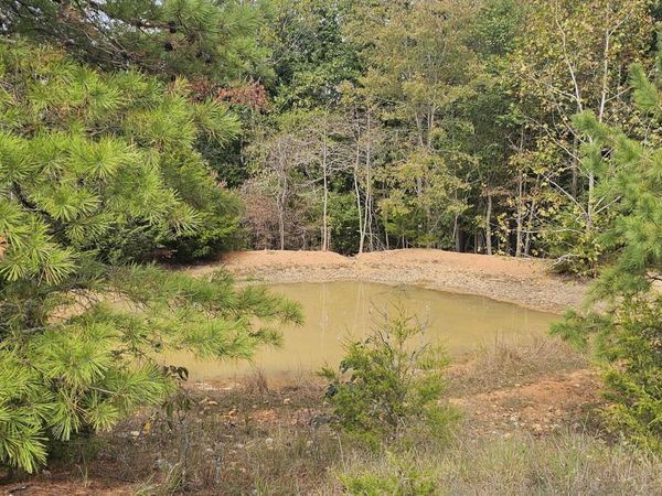 000 State Highway Ff , Zanoni, MO 65784