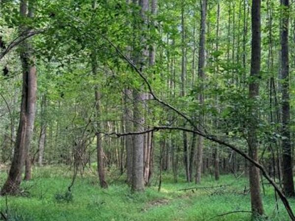 Lot 9 Henderson Mountain Road , Jasper, GA 30143