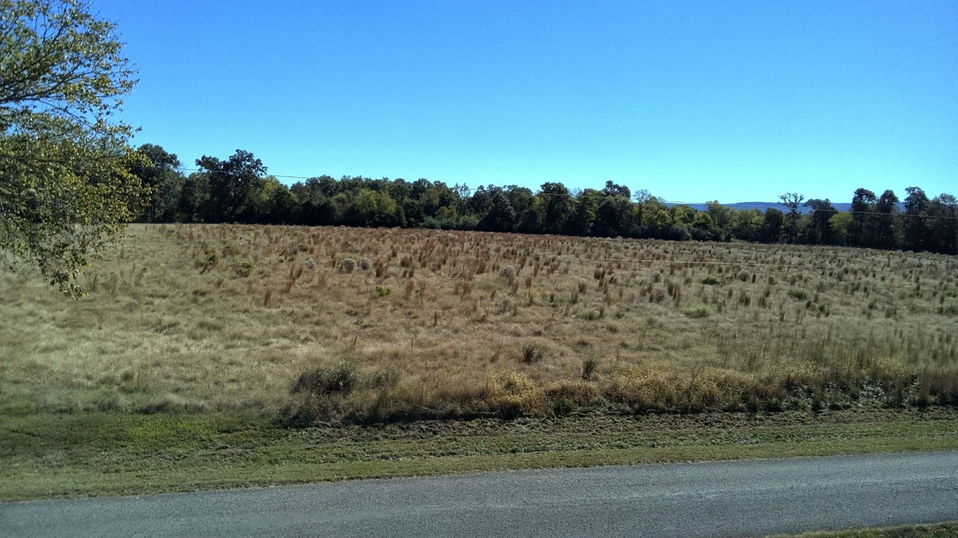 0 Finney Road, Decherd, TN 37324 Main Photo