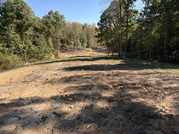 0 Workman Cemetery Rd , Dukedom, TN 38226