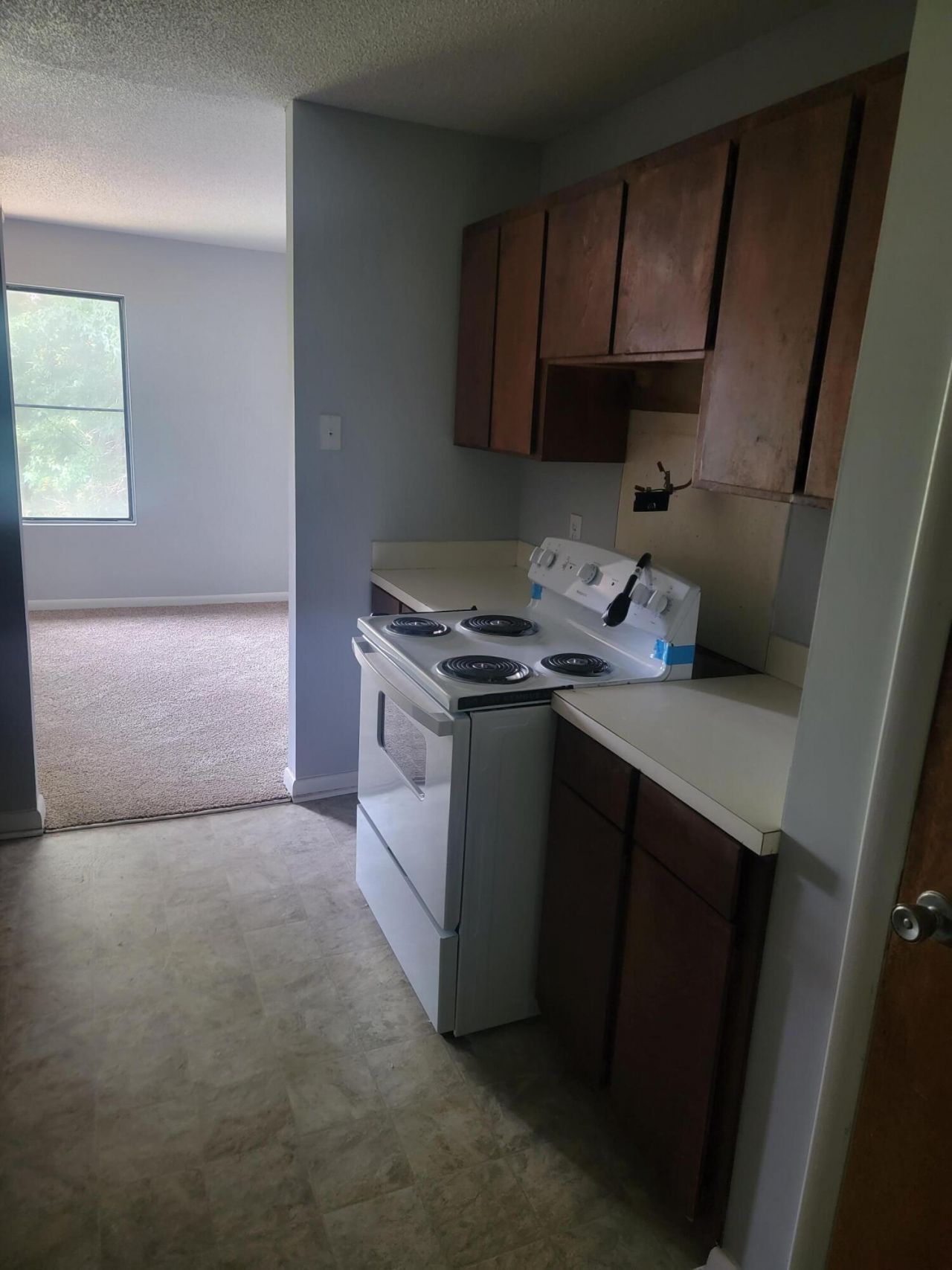 106 Greencastle Drive Photo 4