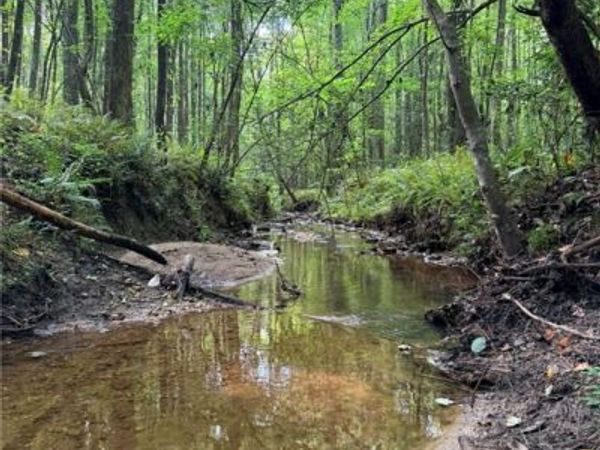 Lot 21 Skidder Way , Jasper, GA 30143