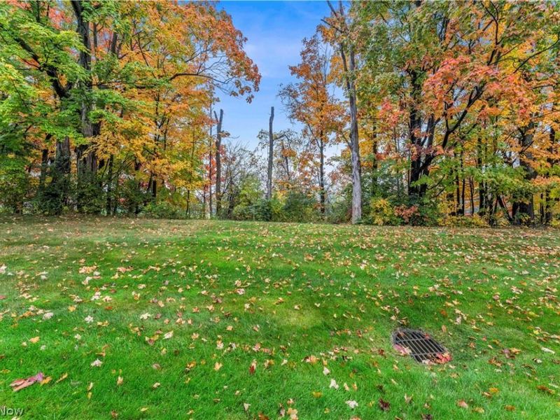 1605 Windrow Lane, Broadview Heights, OH 44147 Photo 2