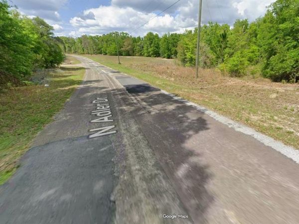 10735 N ADLER DRIVE , CITRUS SPRINGS, FL 34434