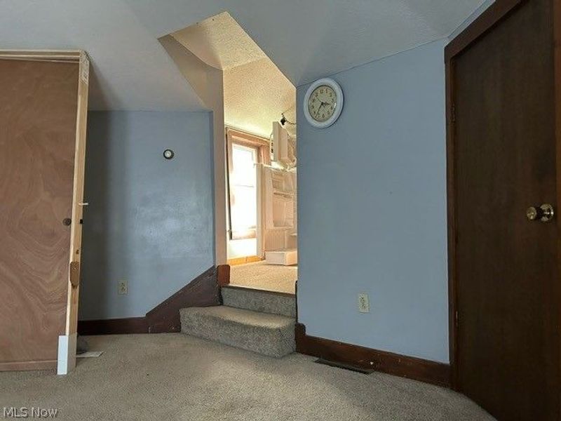 133 Pine Street, Creston, OH 44217 Photo 20
