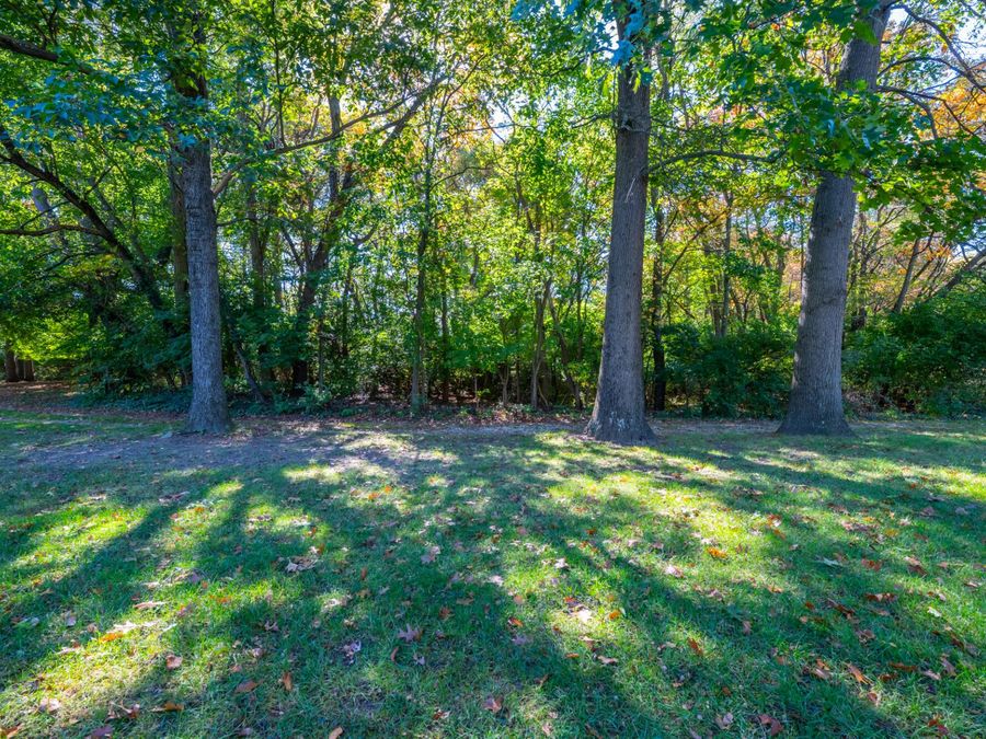 Property Image 81