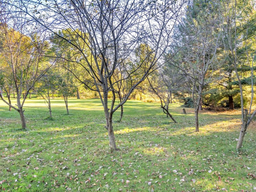 Property Image 46