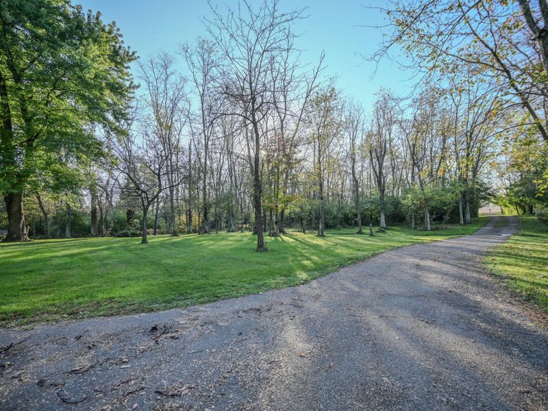 12140 Old Osborne Road, South Vienna, OH 45369 Photo 6