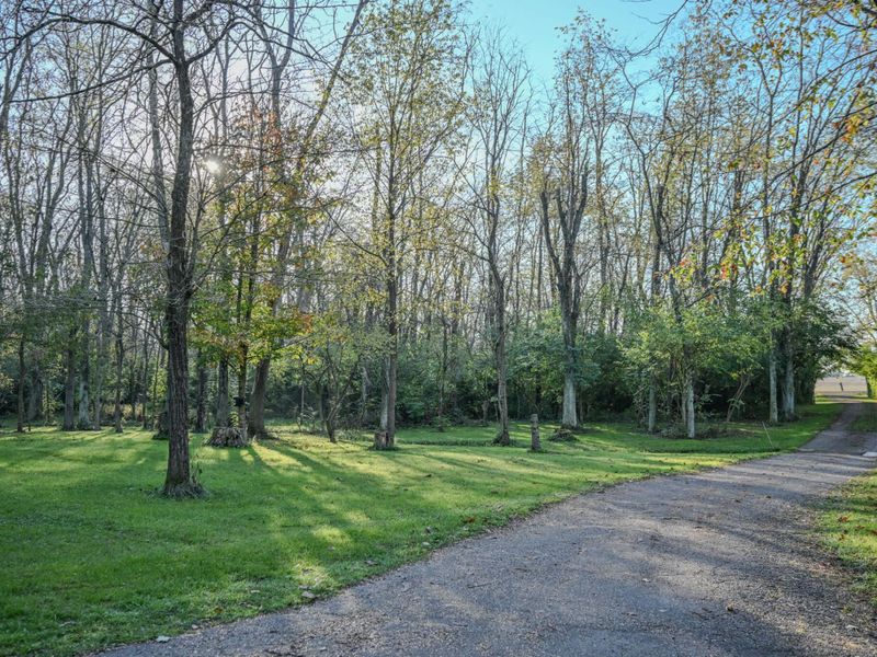 12140 Old Osborne Road, South Vienna, OH 45369 Photo 7